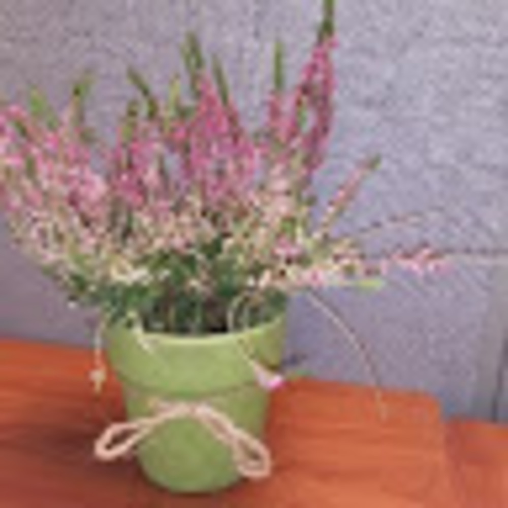 Meet your Posher, Bar'bara